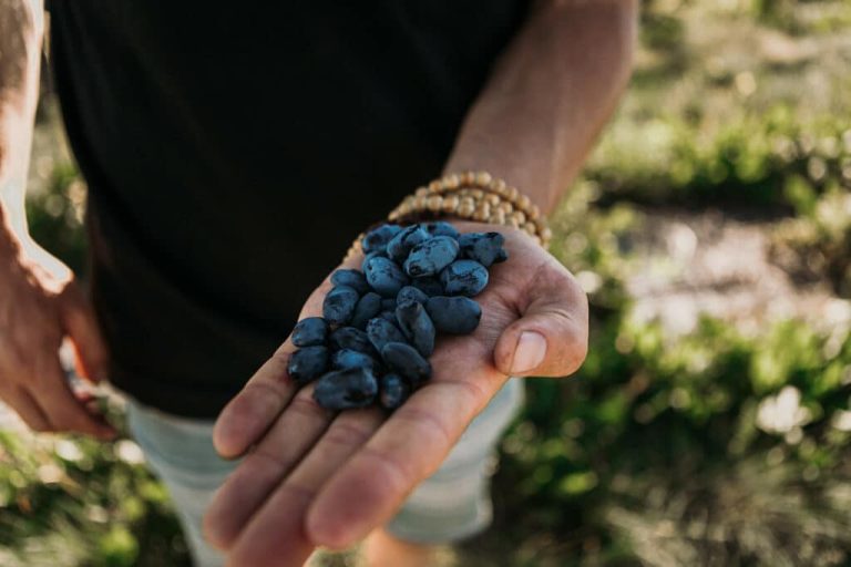 A man holding a handful of blueberries.