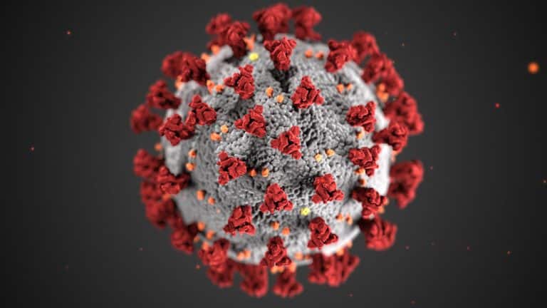 An image of a coronavirus on a black background.