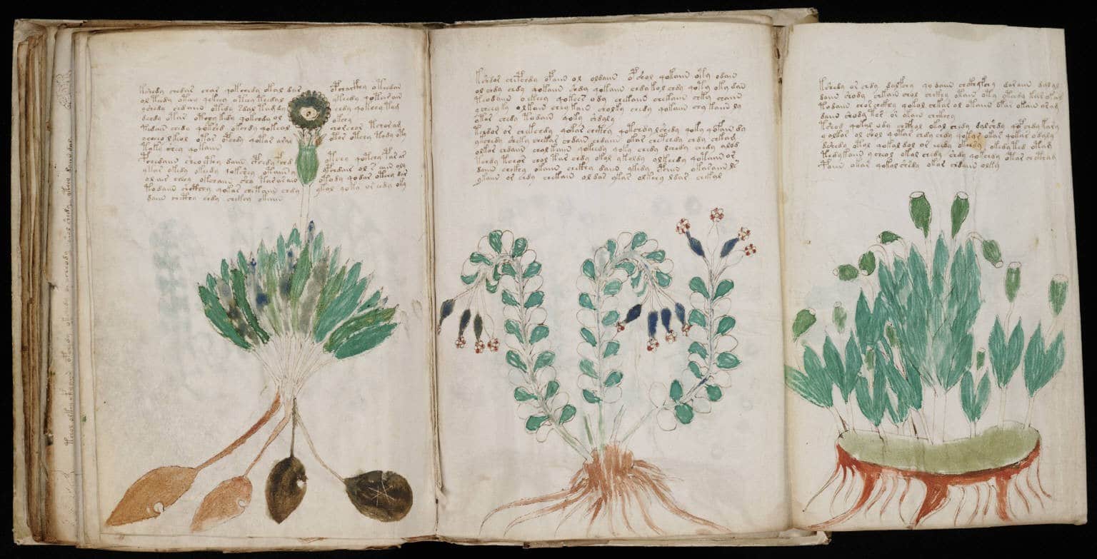 An open book with plants and writing on it.