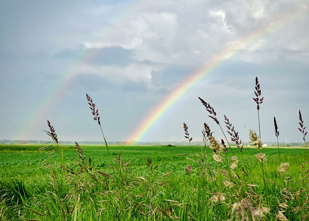 Two rainbows over a grassy field.