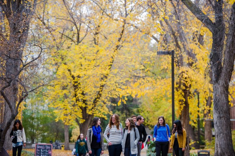 A group of students walking through a park in the fall.