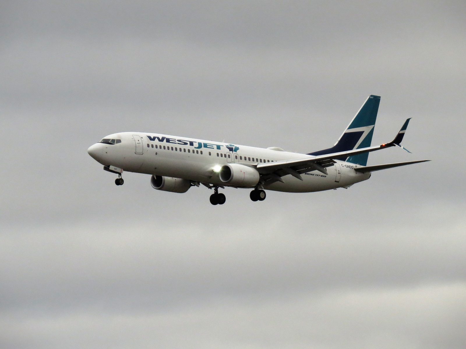 westjet has expanded air service from edmonton to cities in the USA and canada
